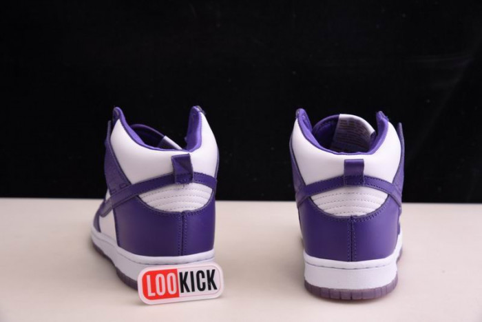 TB Nike Dunk High SP Varsity Purple (W) DC5382-100