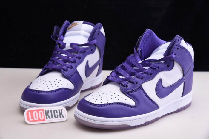 TB Nike Dunk High SP Varsity Purple (W) DC5382-100