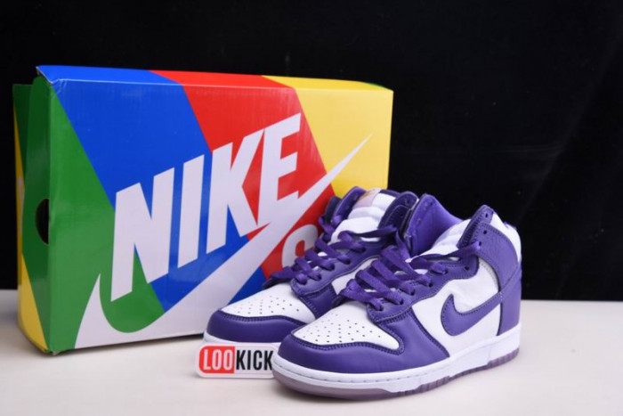 TB Nike Dunk High SP Varsity Purple (W) DC5382-100