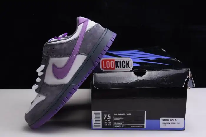 Reps LY Nike Dunk SB Low Purple Pigeon 304292-051