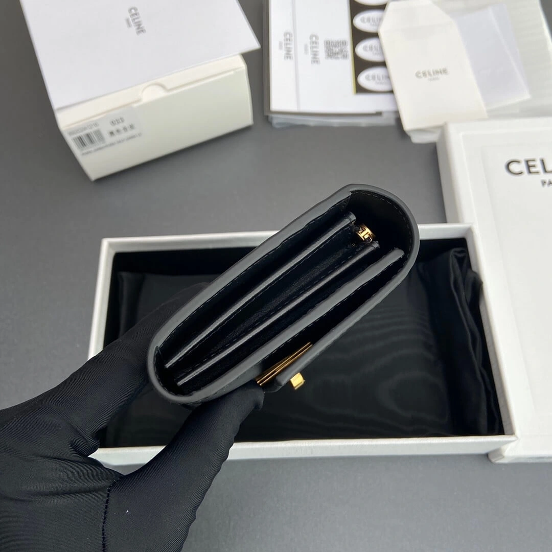 Elegant CELINE 16 Large Wallet in Shiny Calf Leather 2579