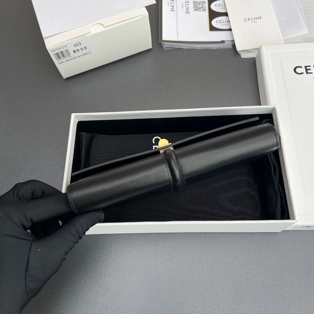 Elegant CELINE 16 Large Wallet in Shiny Calf Leather 2579