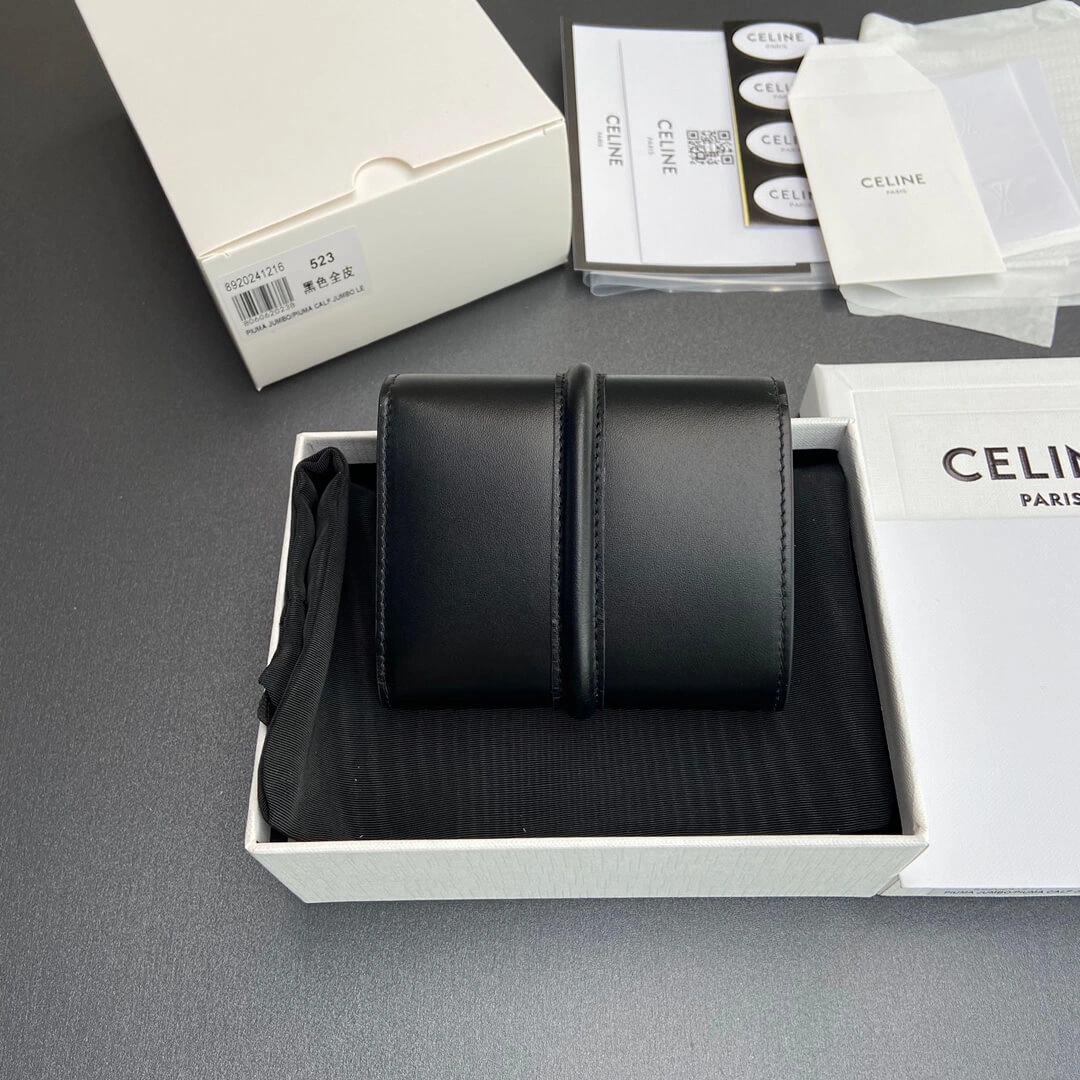 SoftTouch CELINE 16 Small Wallet in Shiny Calf Leather 2581