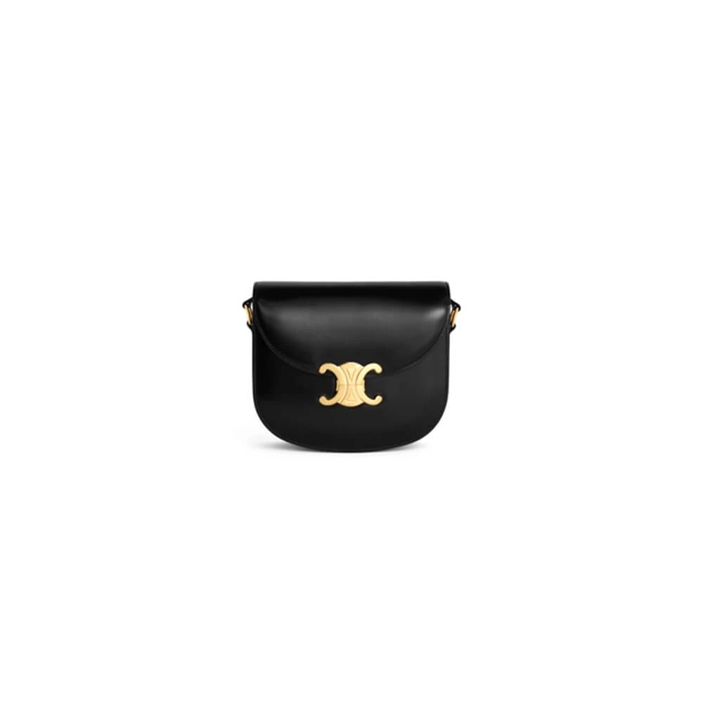 CELINE BESACE CLEA in shiny calfskin(HIGH-END GRADE) Reliable 2577