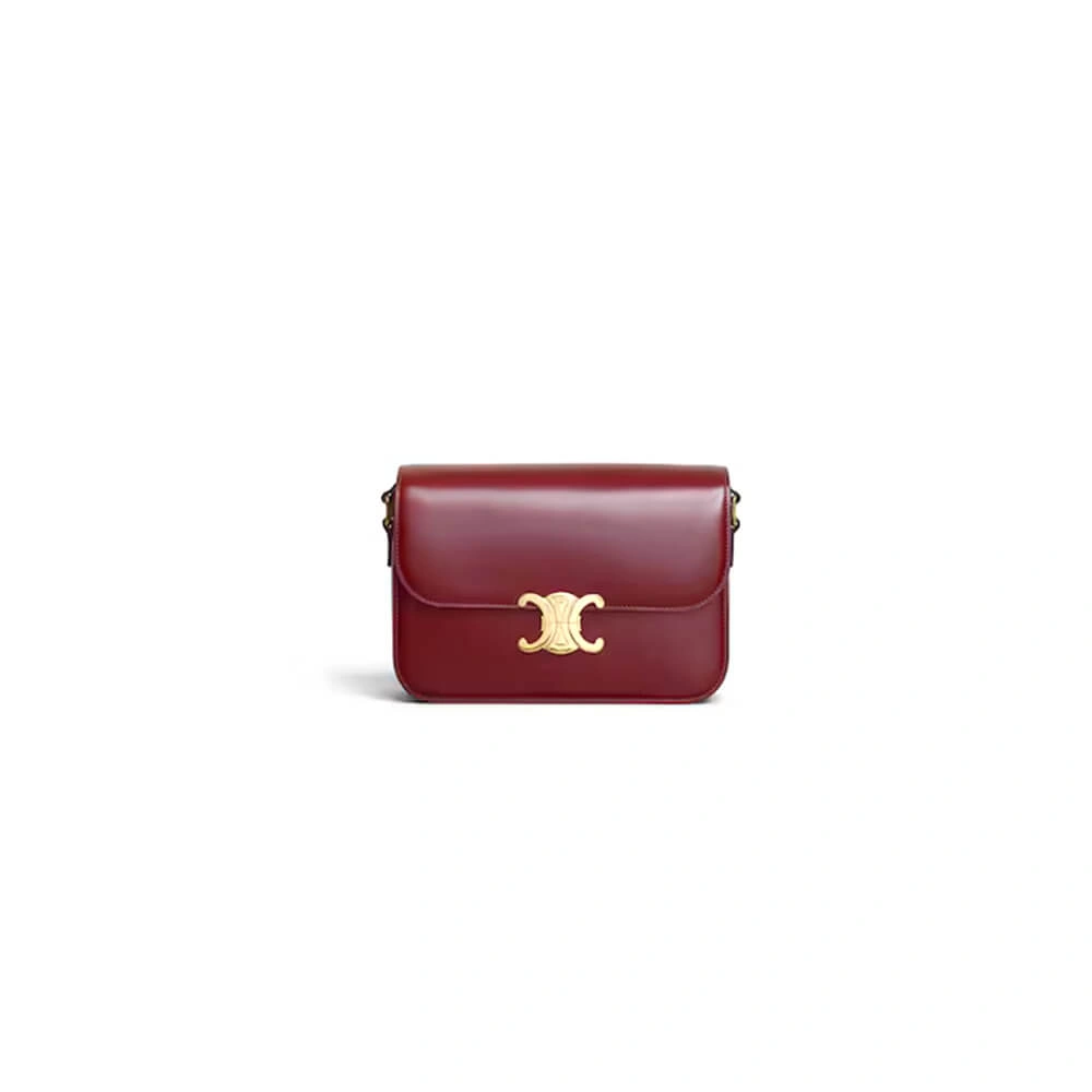 Colorful CELINE CLASSIQUE TRIOMPHE BAG in shiny calfskin(HIGH-END GRADE) 2493