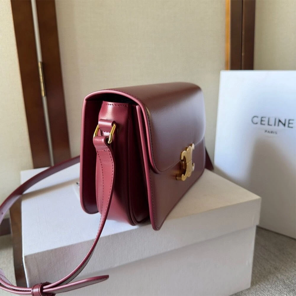 Colorful CELINE CLASSIQUE TRIOMPHE BAG in shiny calfskin(HIGH-END GRADE) 2493