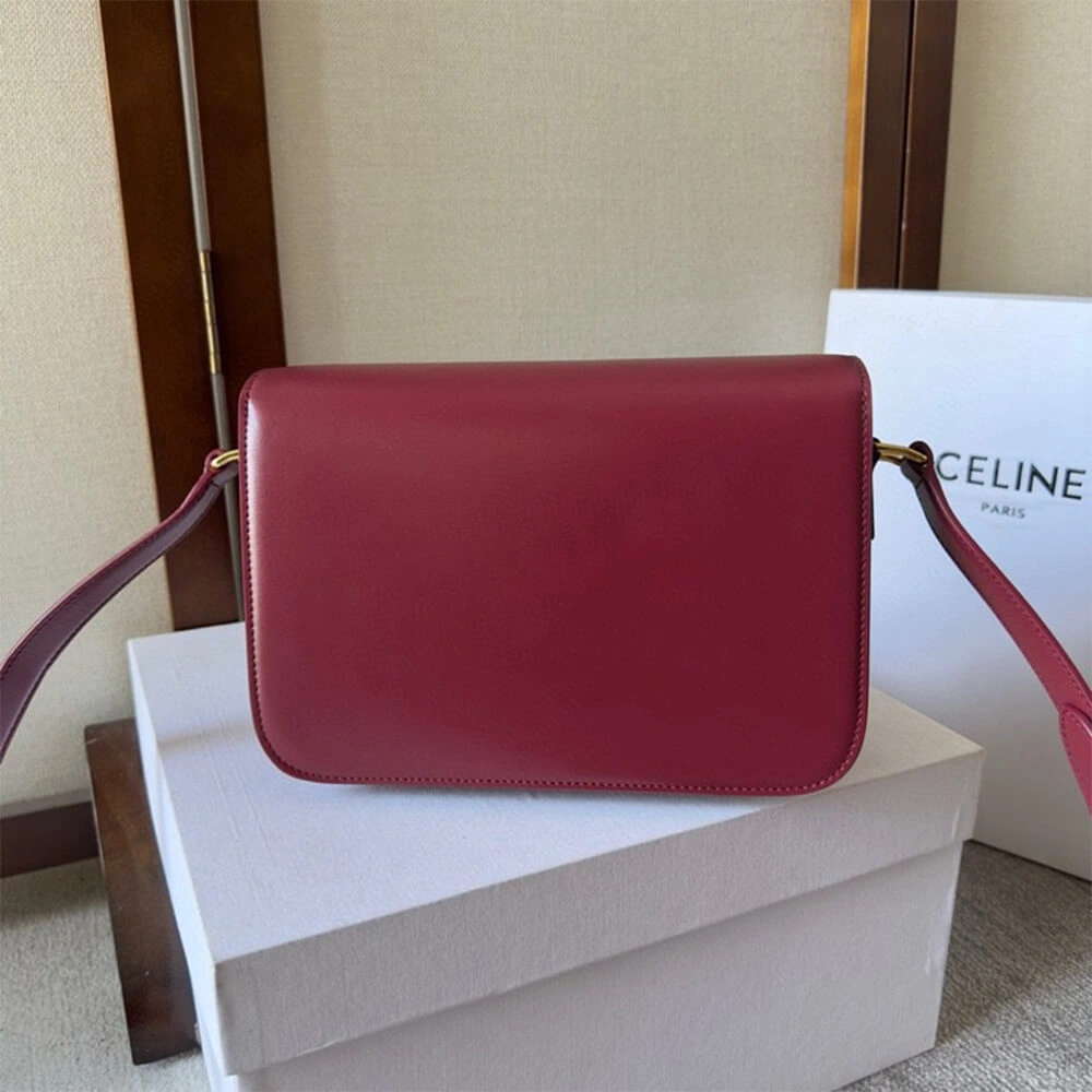 Colorful CELINE CLASSIQUE TRIOMPHE BAG in shiny calfskin(HIGH-END GRADE) 2493