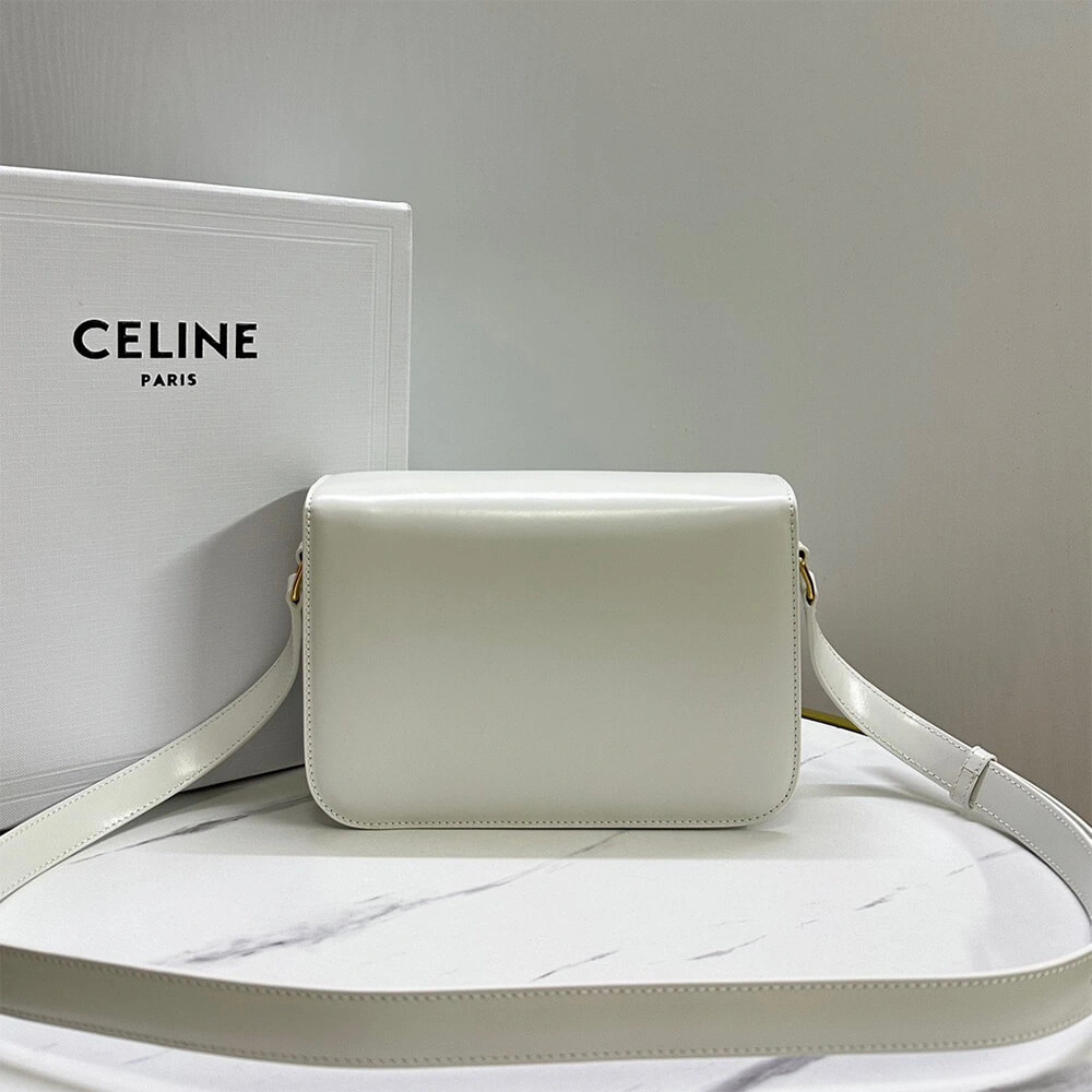 CELINE CLASSIQUE TRIOMPHE BAG in shiny calfskin(HIGH-END GRADE) Sustainable 2462