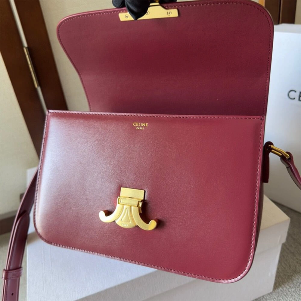 Colorful CELINE CLASSIQUE TRIOMPHE BAG in shiny calfskin(HIGH-END GRADE) 2493