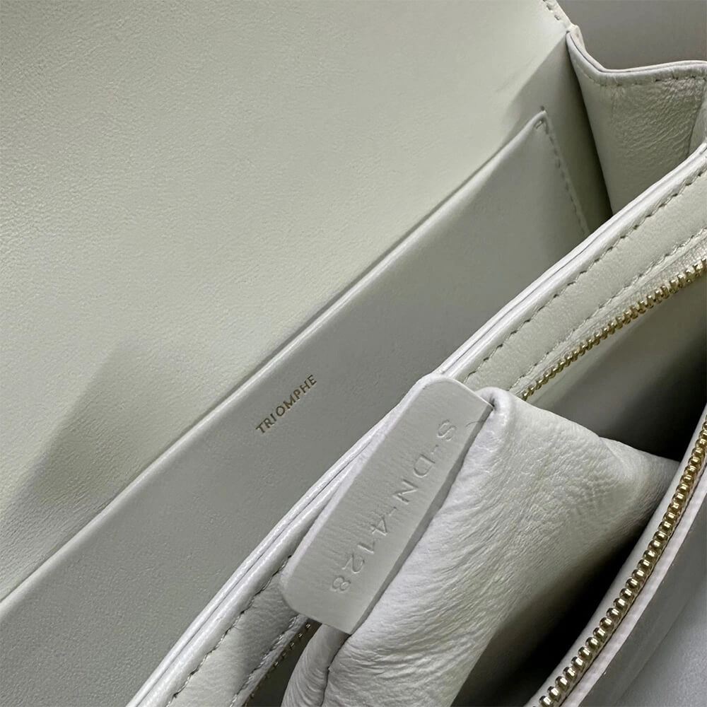 CELINE CLASSIQUE TRIOMPHE BAG in shiny calfskin(HIGH-END GRADE) Sustainable 2462