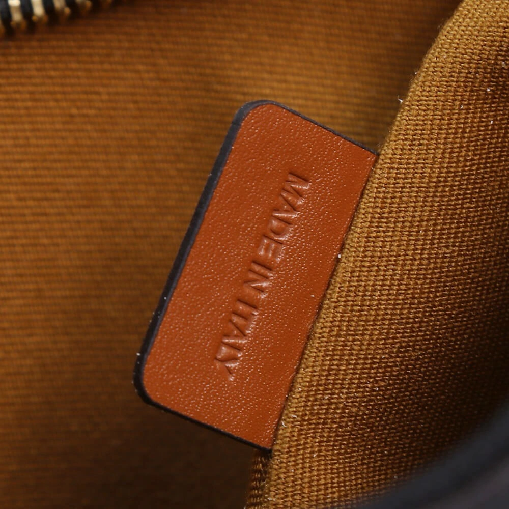Durable CELINE MEDIUM AVA TRIOMPHE BAG in Triomphe Canvas and calfskin 2544