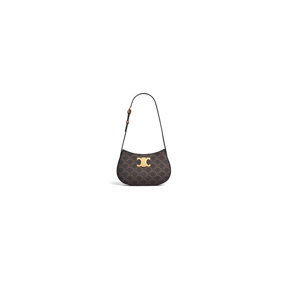 CELINE MEDIUM TILLY BAG in Triomphe canvas and calfskin Lightweight 2506
