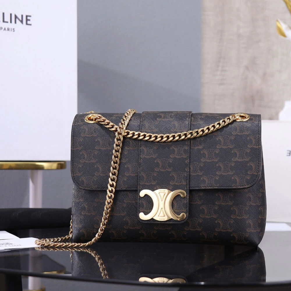 CELINE Medium Celine Victoire Bag in Triomphe Canvas Trendsetting 2479