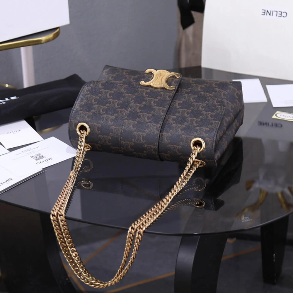 CELINE Medium Celine Victoire Bag in Triomphe Canvas Trendsetting 2479