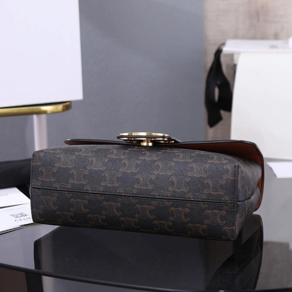CELINE Medium Celine Victoire Bag in Triomphe Canvas Trendsetting 2479