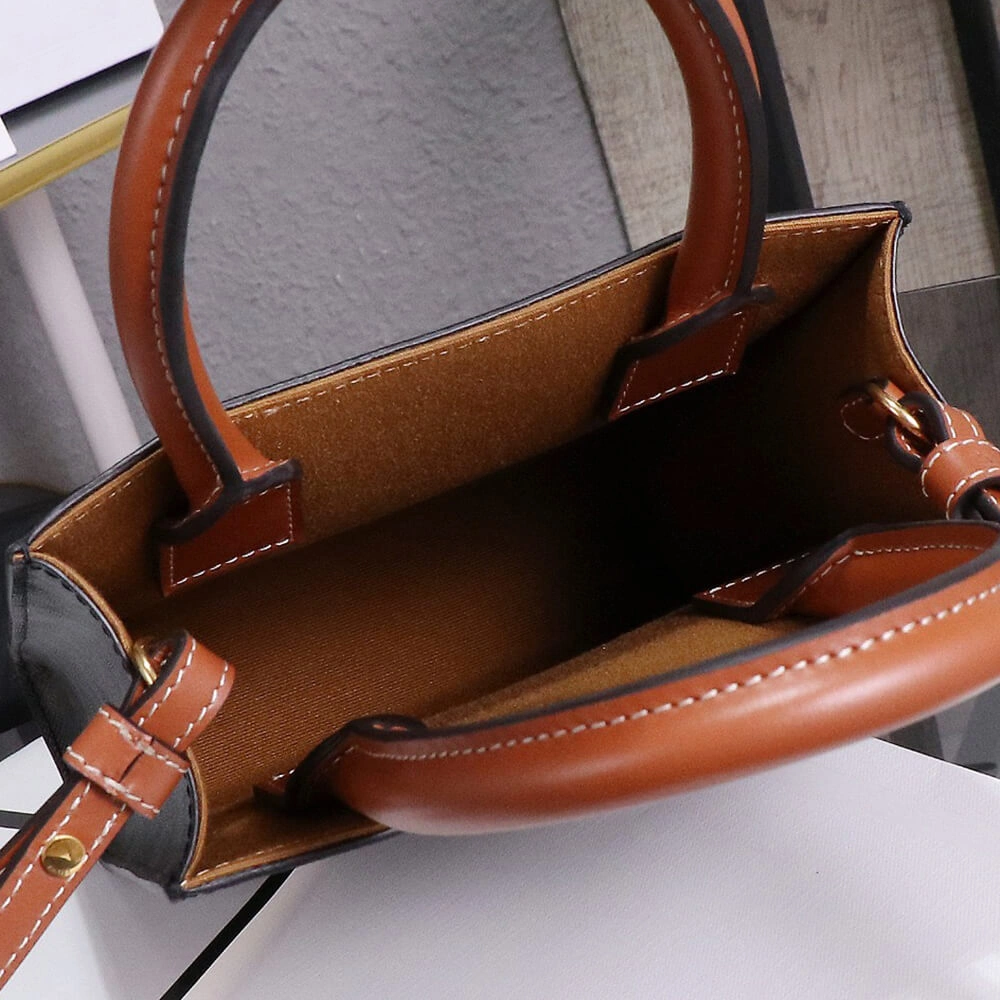 CELINE Mini Vertical Cabas IN Triomphe Canvas with Celine print Refined 2470