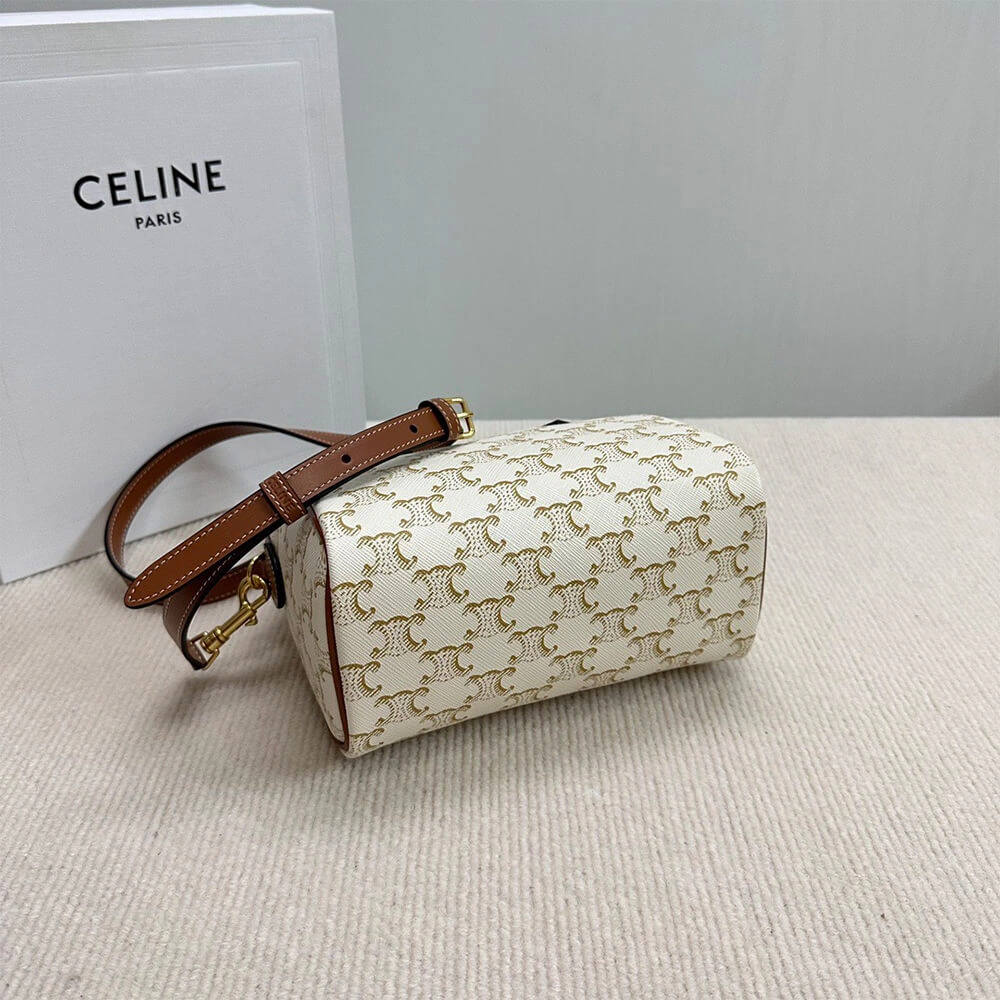 DailyWear CELINE Small Boston IN Triomphe Canvas and calfskin 2558