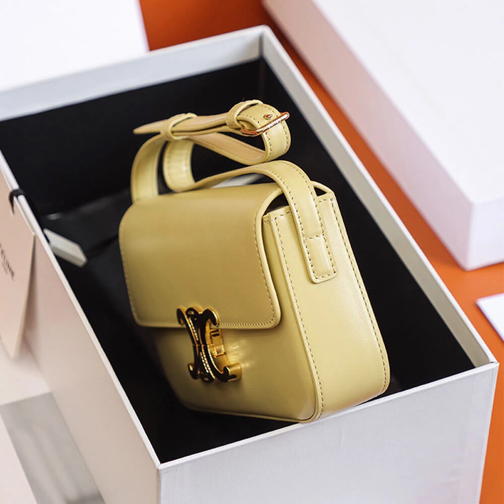 CELINE TRIOMPHE SHOULDER BAG Stylish 2530