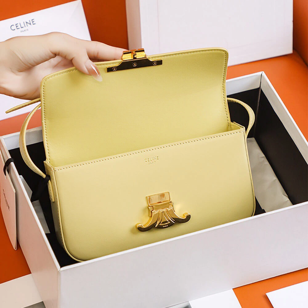 CELINE TRIOMPHE SHOULDER BAG Stylish 2530