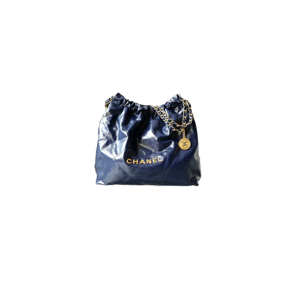 DailyWear CHANEL 22 HANDBAG(high-end grade) 1519