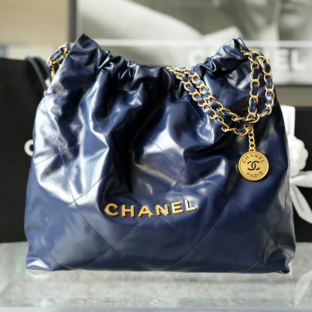 DailyWear CHANEL 22 HANDBAG(high-end grade) 1519