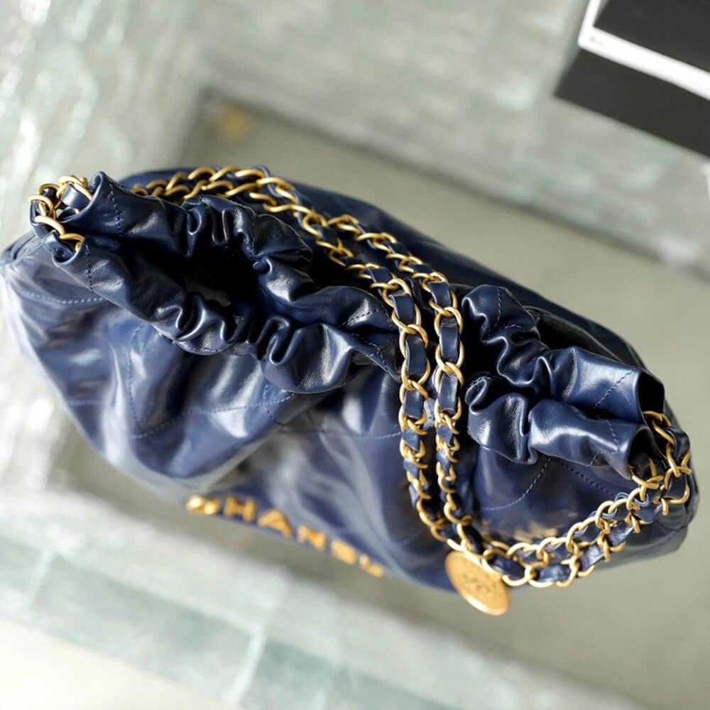 DailyWear CHANEL 22 HANDBAG(high-end grade) 1519