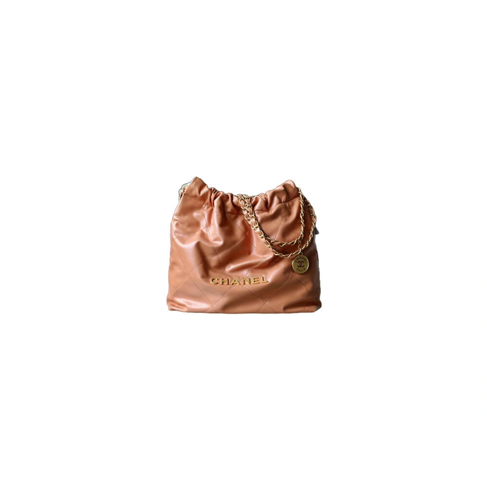 CHANEL 22 SMALL HANDBAG(high-end grade) Attractive 1530