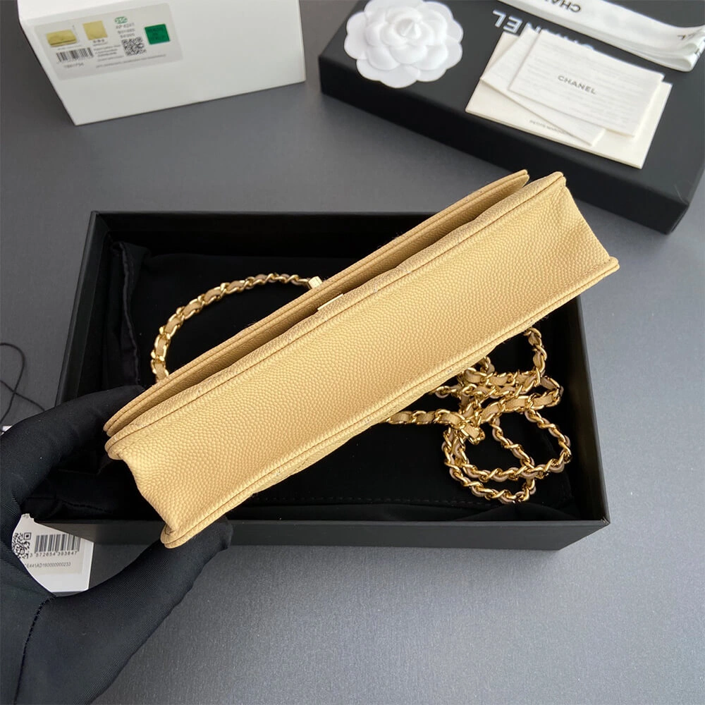 Fashionable CHANEL  Wallet On Chain(high-end grade) 1281