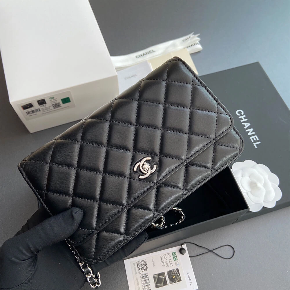 CHANEL  Wallet On Chain(high-end grade) SportInspired 1361