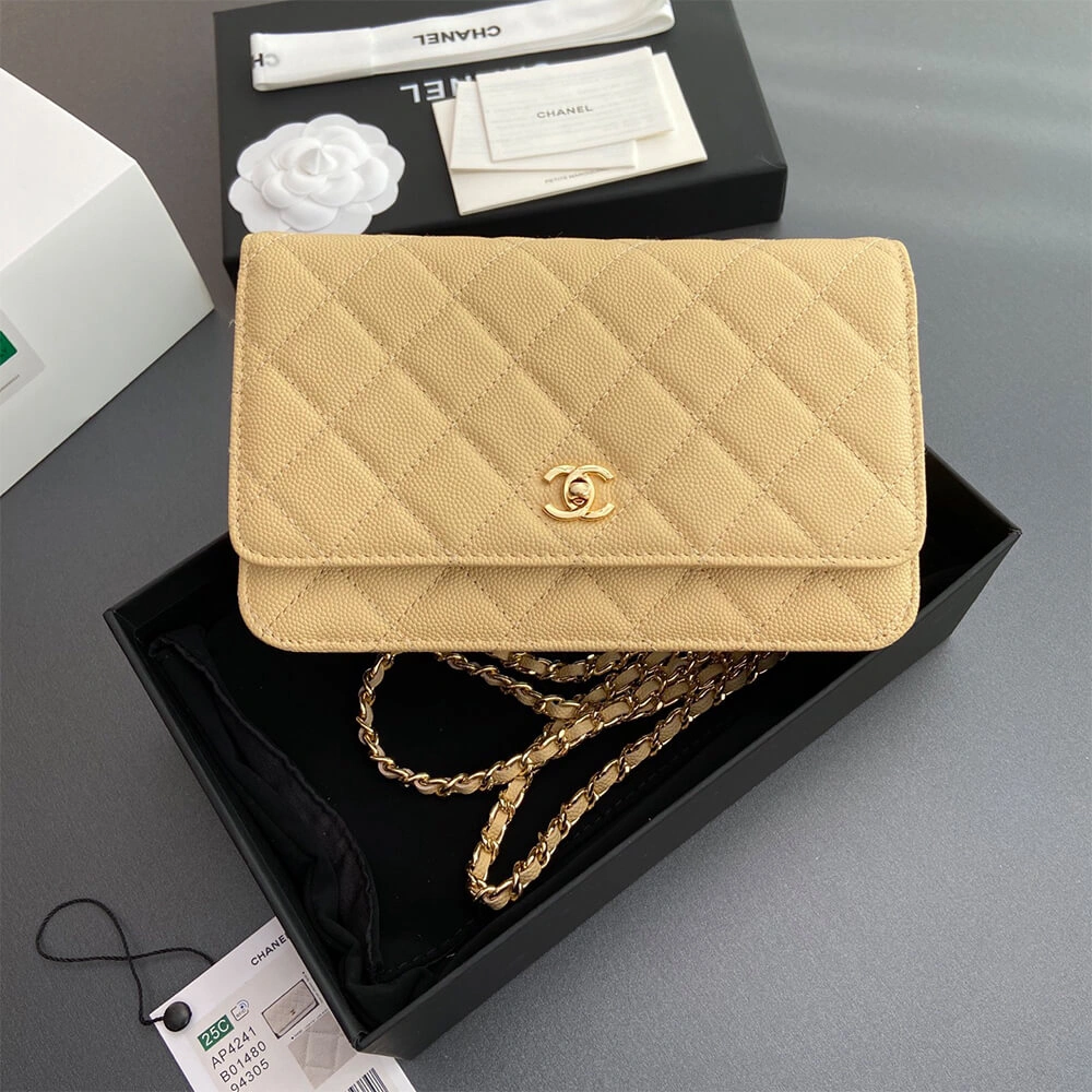Fashionable CHANEL  Wallet On Chain(high-end grade) 1281