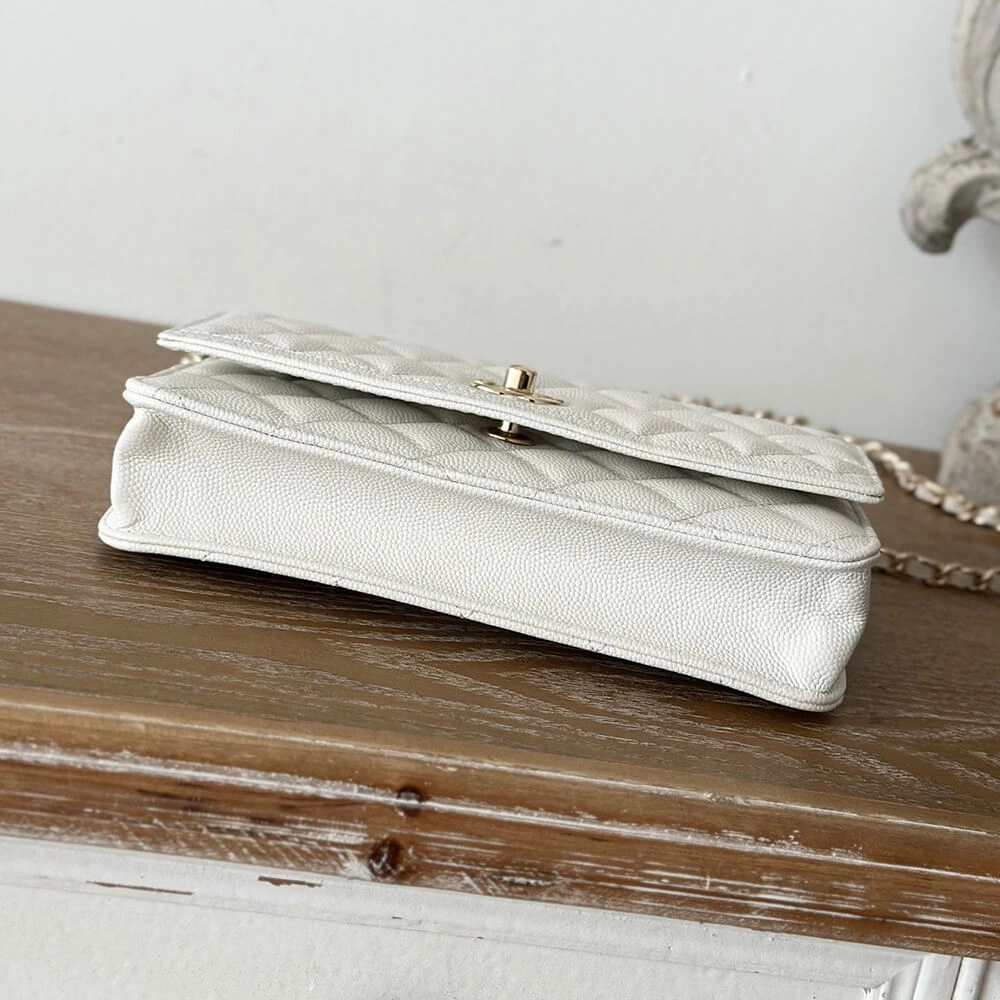 CHANEL Clutch With Chain(high-end grade) Affordable 1541