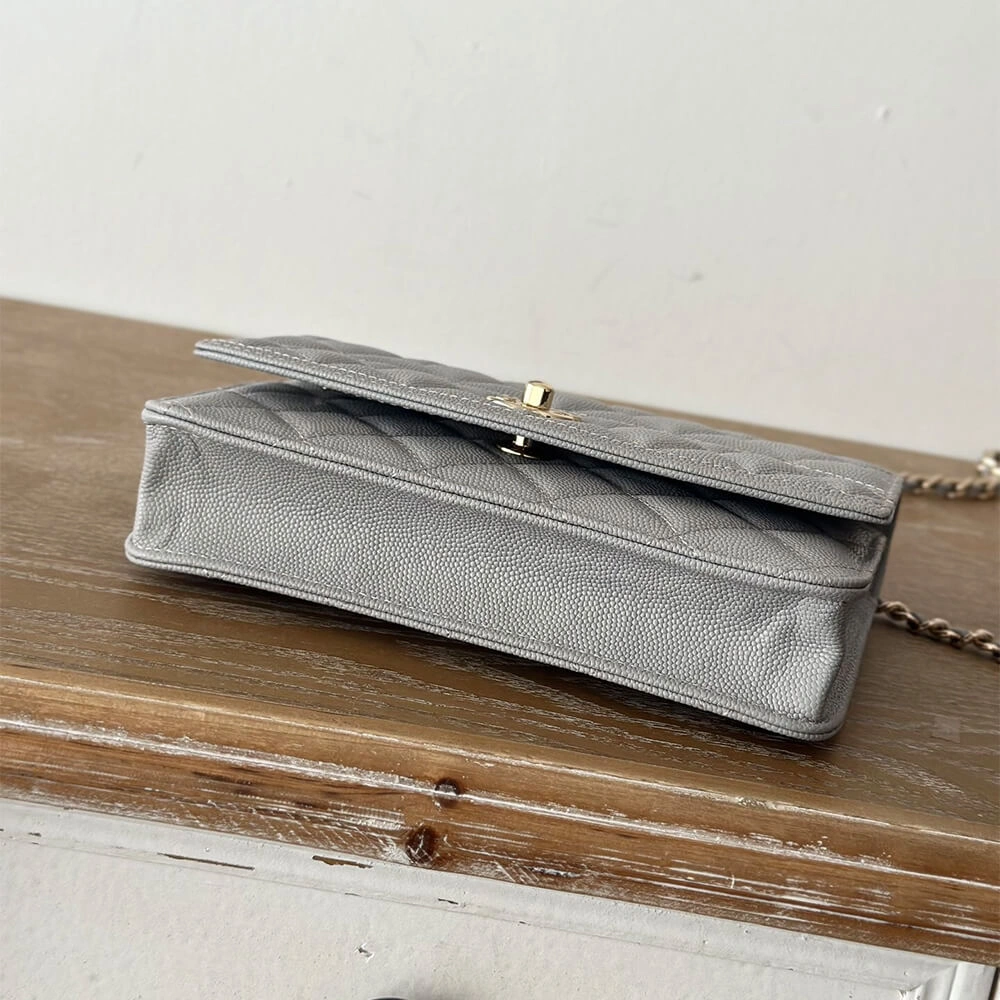 CHANEL Clutch With Chain(high-end grade) WaterResistant 1543