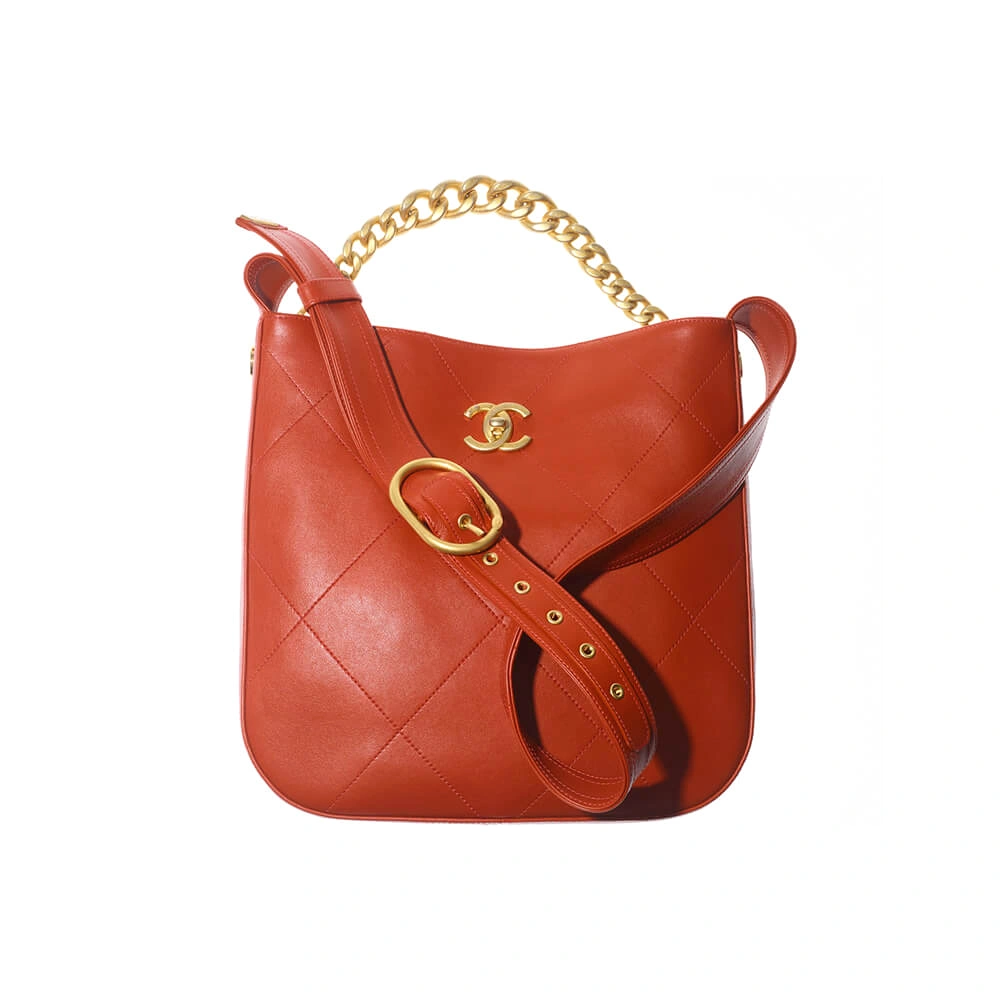 Elegant CHANEL HOBO HANDBAG 1669