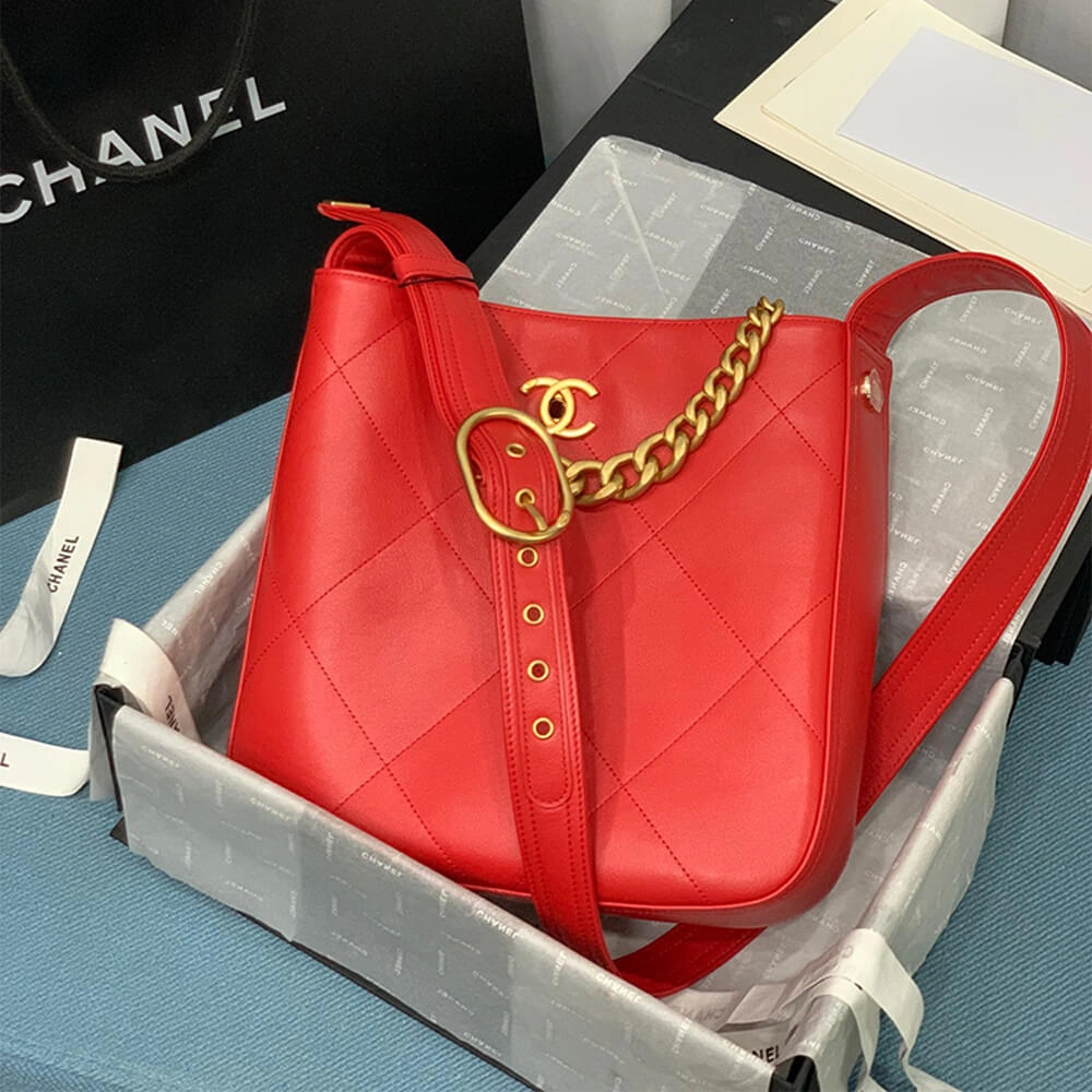 Elegant CHANEL HOBO HANDBAG 1669