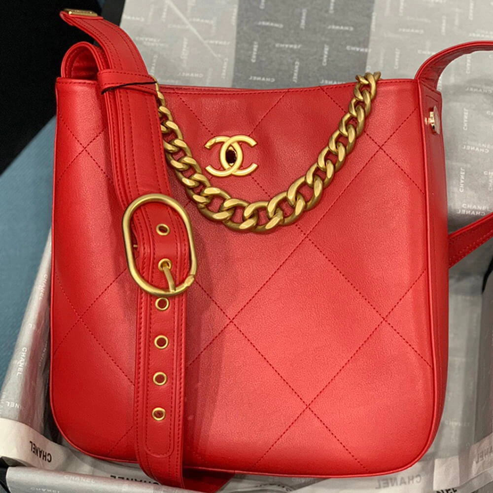 Elegant CHANEL HOBO HANDBAG 1669