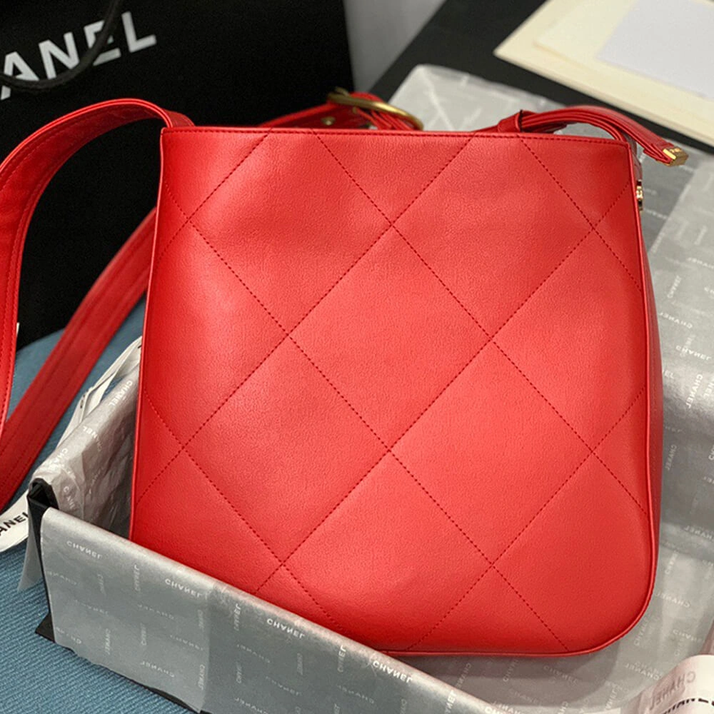 Elegant CHANEL HOBO HANDBAG 1669