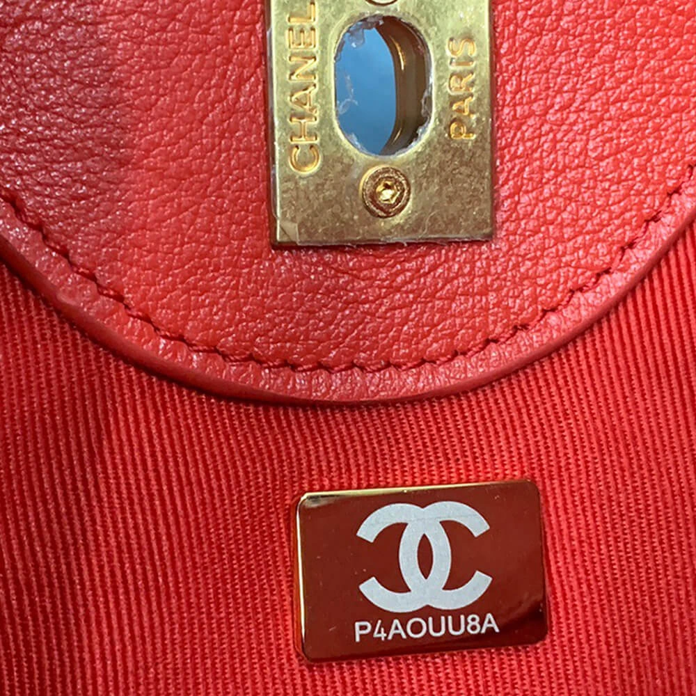 Elegant CHANEL HOBO HANDBAG 1669