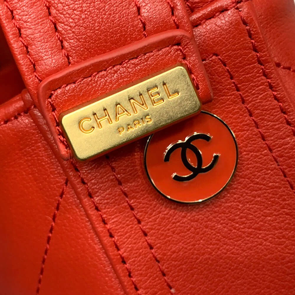 Elegant CHANEL HOBO HANDBAG 1669