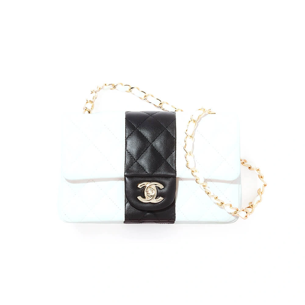 CHANEL MINI FLAP BAG MultiPurpose 1636