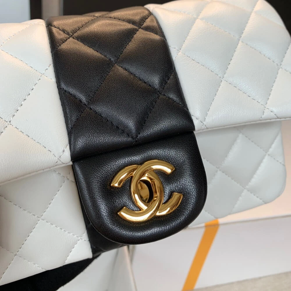 CHANEL MINI FLAP BAG MultiPurpose 1636