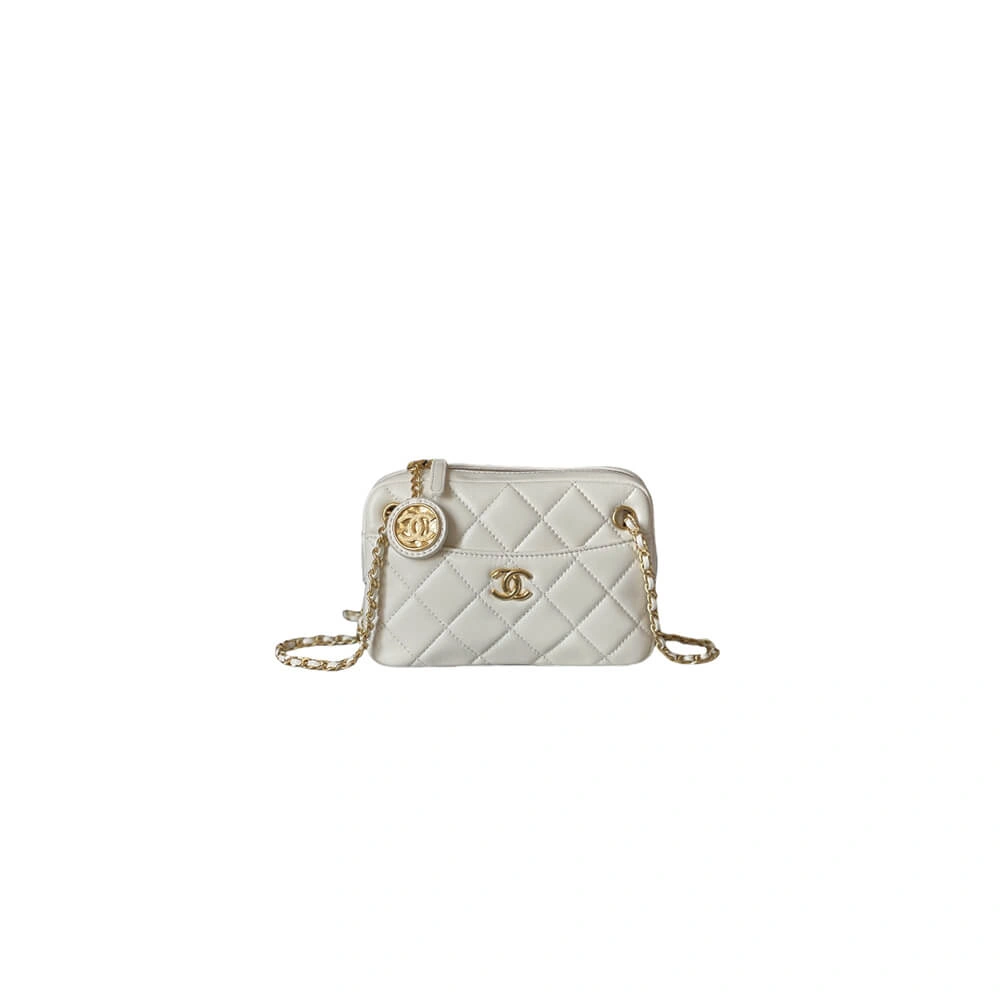 CHANEL Mini Camera Case GoAnywhere 1461