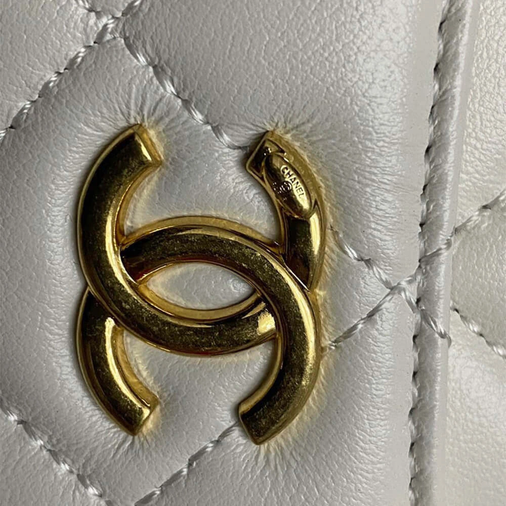 CHANEL Mini Camera Case GoAnywhere 1461