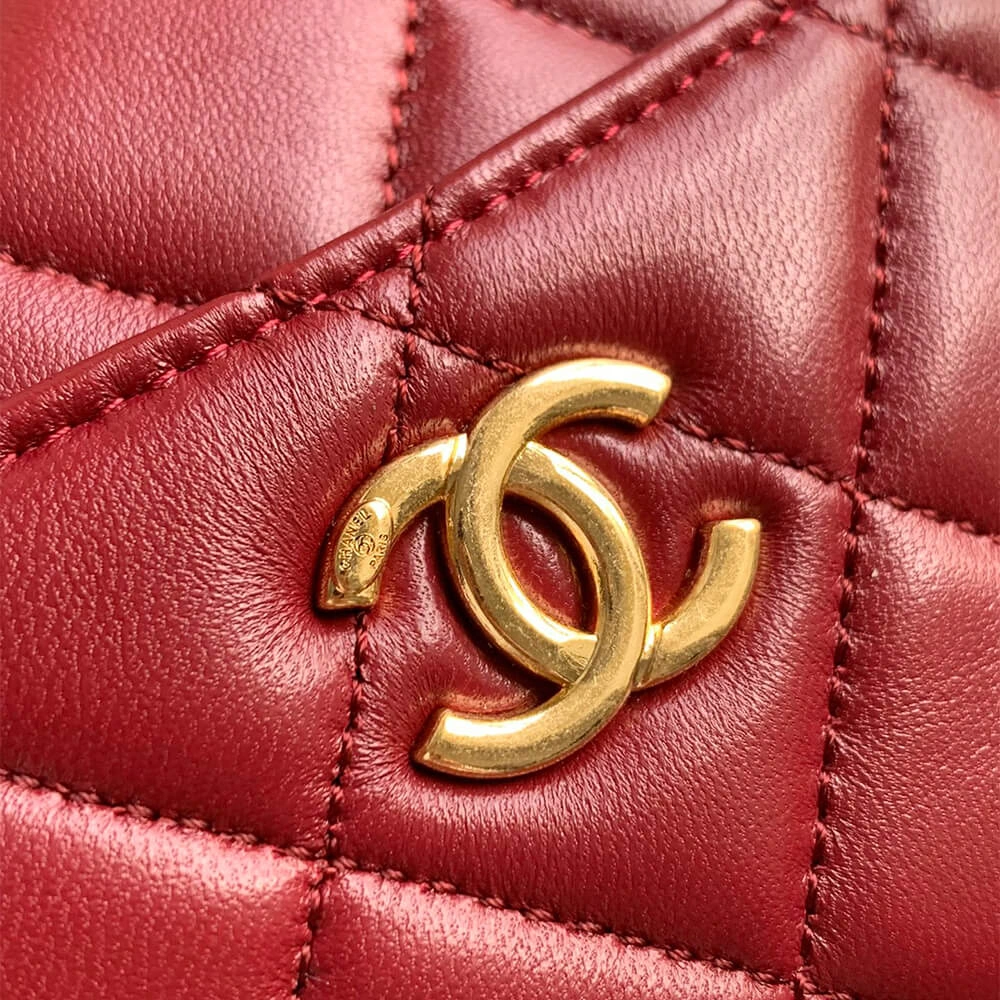 CHANEL Mini Camera Case TimelessDesign 1471