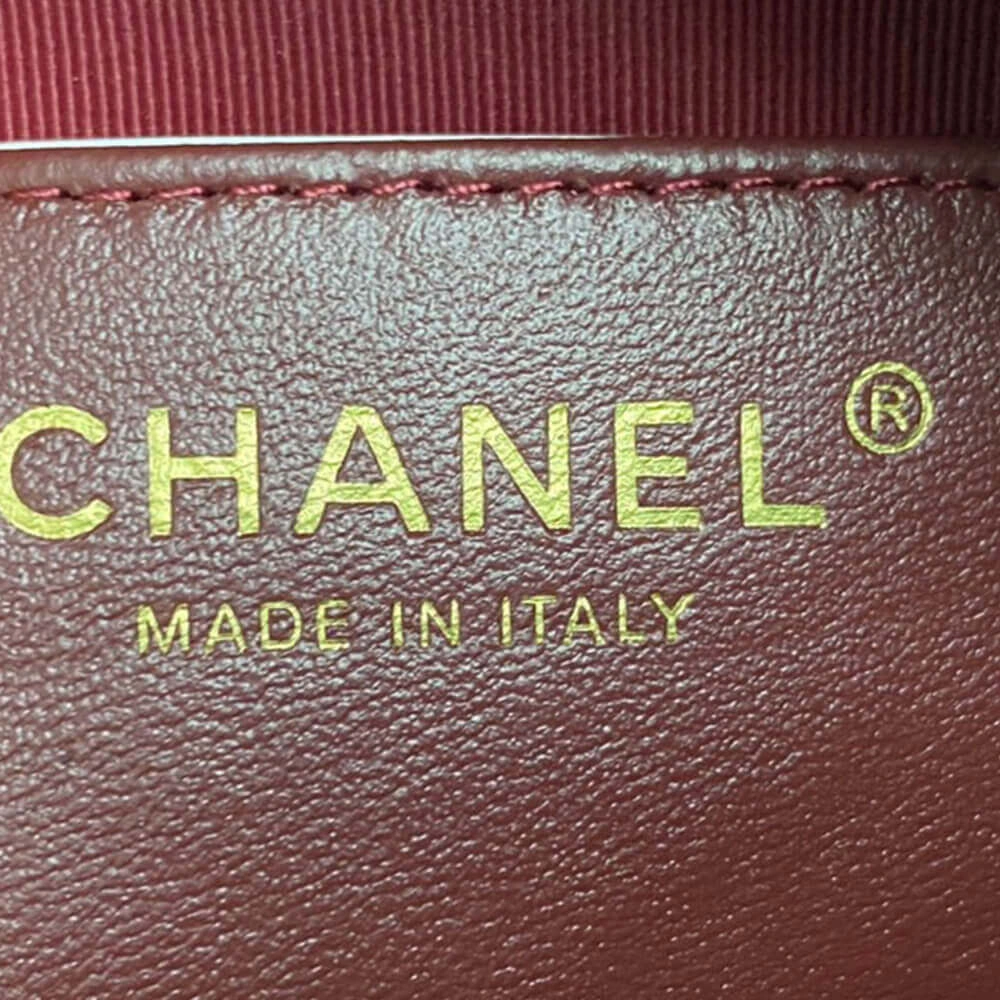 CHANEL Mini Camera Case GoAnywhere 1461