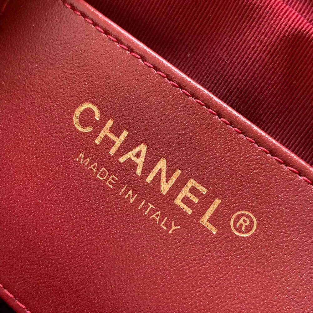 CHANEL Mini Camera Case TimelessDesign 1471