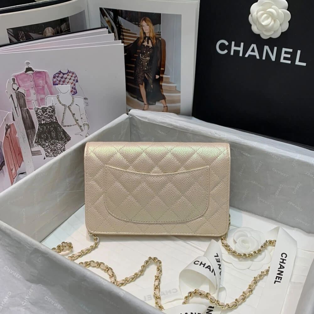 WrinkleFree CHANEL Wallet On Chain 1670