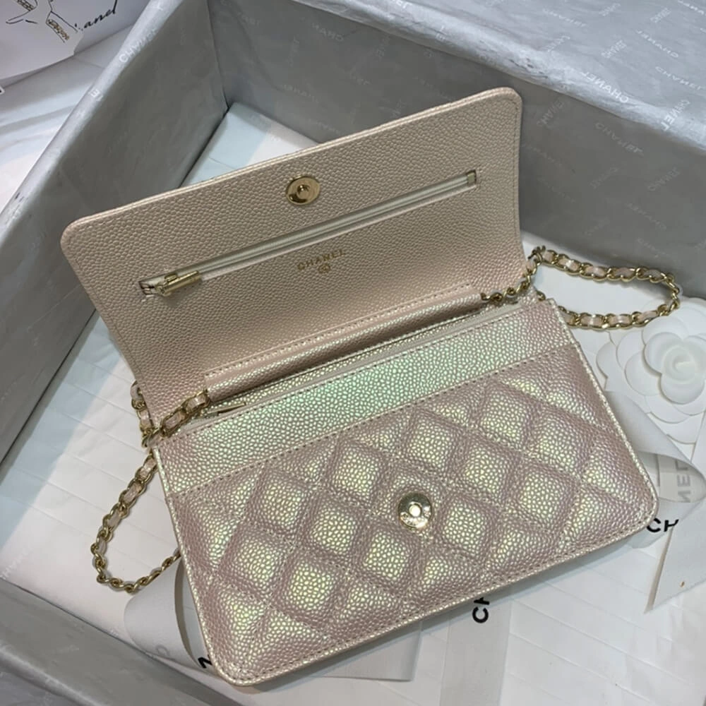 WrinkleFree CHANEL Wallet On Chain 1670