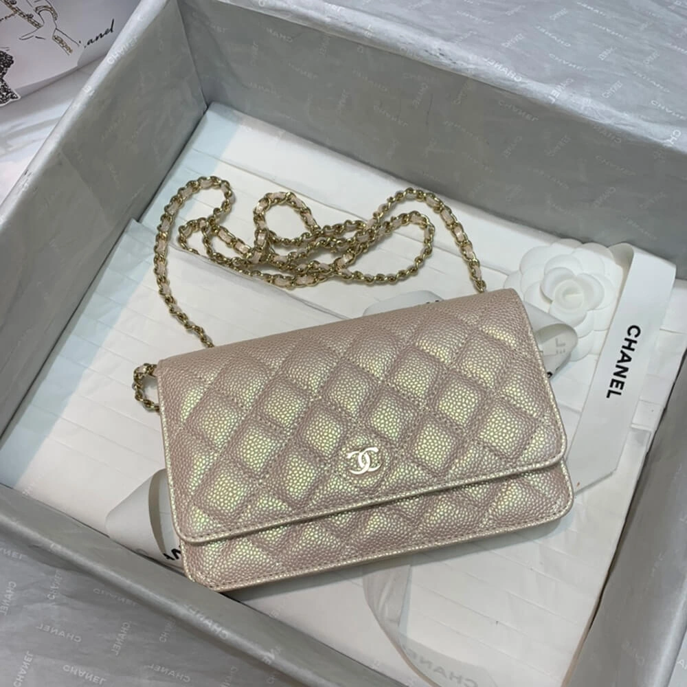 WrinkleFree CHANEL Wallet On Chain 1670