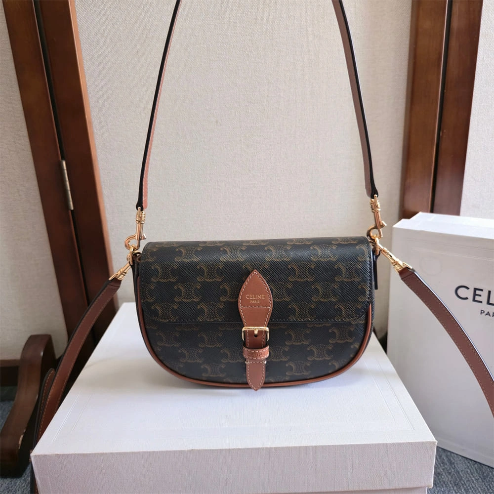 Celine SOFT SHOPPER BAG IN Triomphe Canvas and Calfskin MultiPurpose 2513