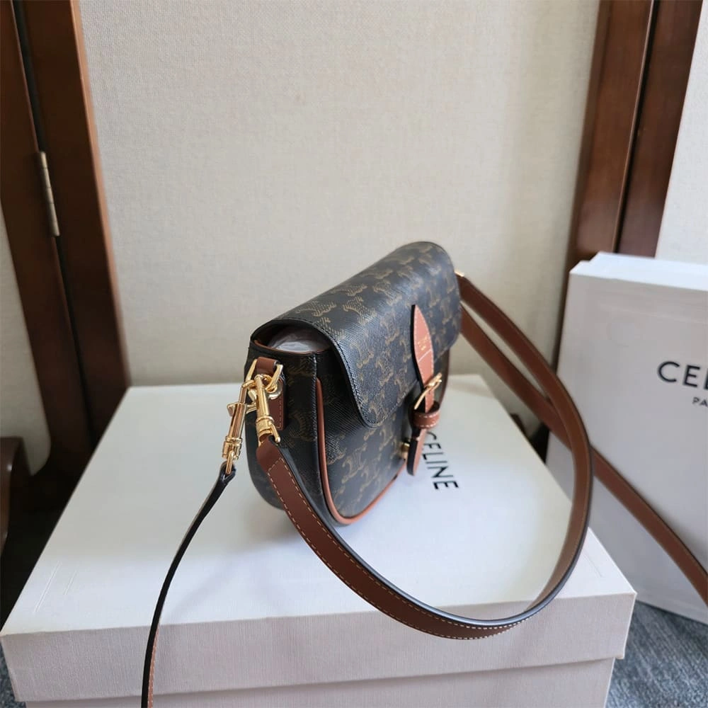 Celine SOFT SHOPPER BAG IN Triomphe Canvas and Calfskin MultiPurpose 2513